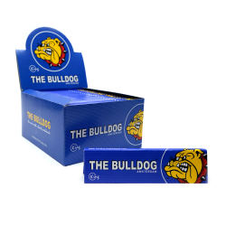 Bulldog Blu King Size Box