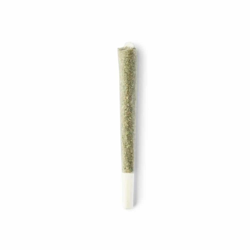 Iamsterdam pre-rollati Lemon Haze 1g