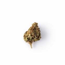 Green Passion Green Berry Indoor Popcorn 10g