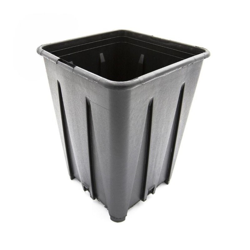 Pot en plastique avec racine 2,5L