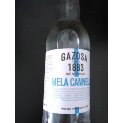 Gazosa Ticinese naturelles pomme et cannelle (330ml)