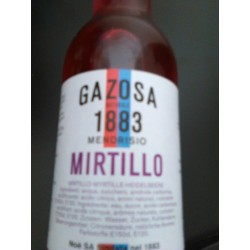 Gazosa Natural Ticinese Myrtille (330ml)