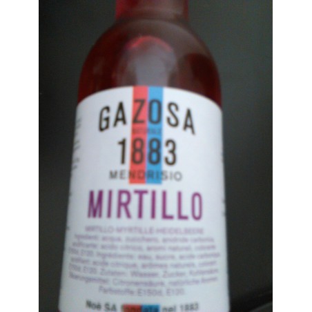 Gazosa Natural Ticinese blueberry (330ml)