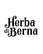 Herba di Berna