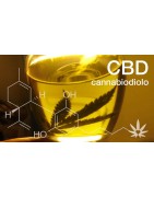 CBD-Öl