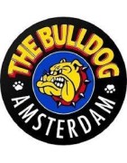 Bulldog