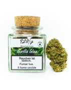 420/7 Gorilla glue 10g