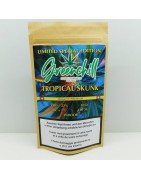 Greenchill Tropical Skunk 12g