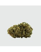 Why Not? Super Silver Haze 10g
