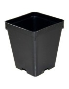 Vaso Plastica 1L