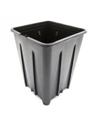 Pot en plastique avec racine 2,5L