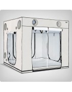 Homebox Ambient Q240+ 240x240x220cm