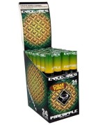 Blunt Cyclones Pineapple ( Ananas )