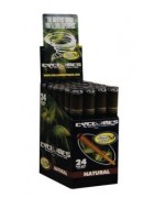 Blunt Cyclones Natural