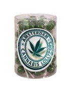 Lolly Hemp
