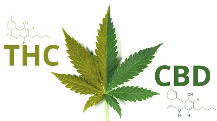 Hemp CBD Hemp CBD