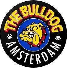 Bulldog