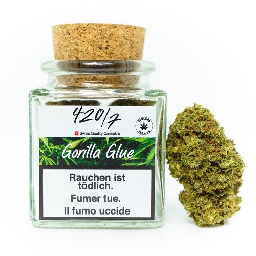 420/7 Gorilla