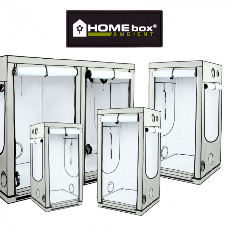 homebox homebox